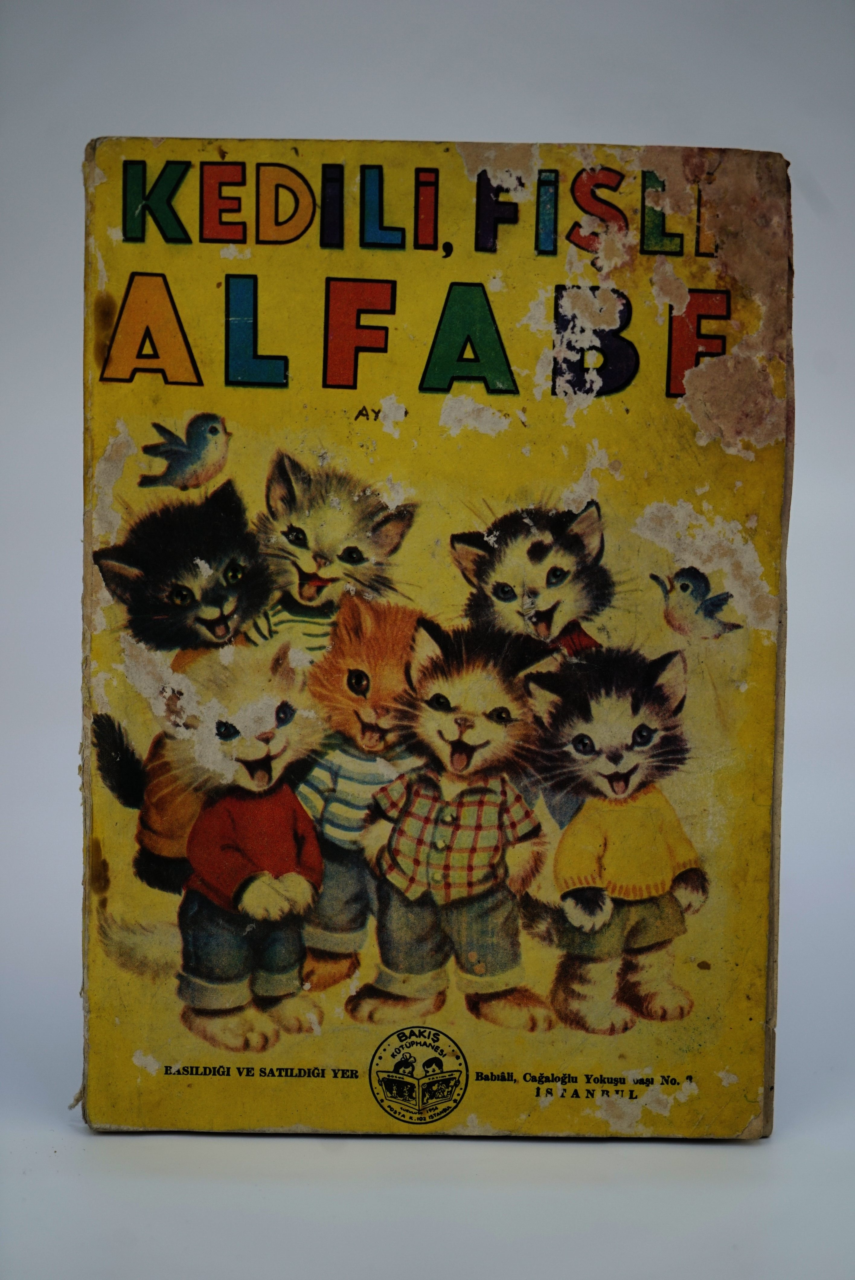 Kedili, Fıslı Alfabeyi Öğrenme Aracı